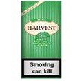 HARVEST MINT (5 x 40 gr)